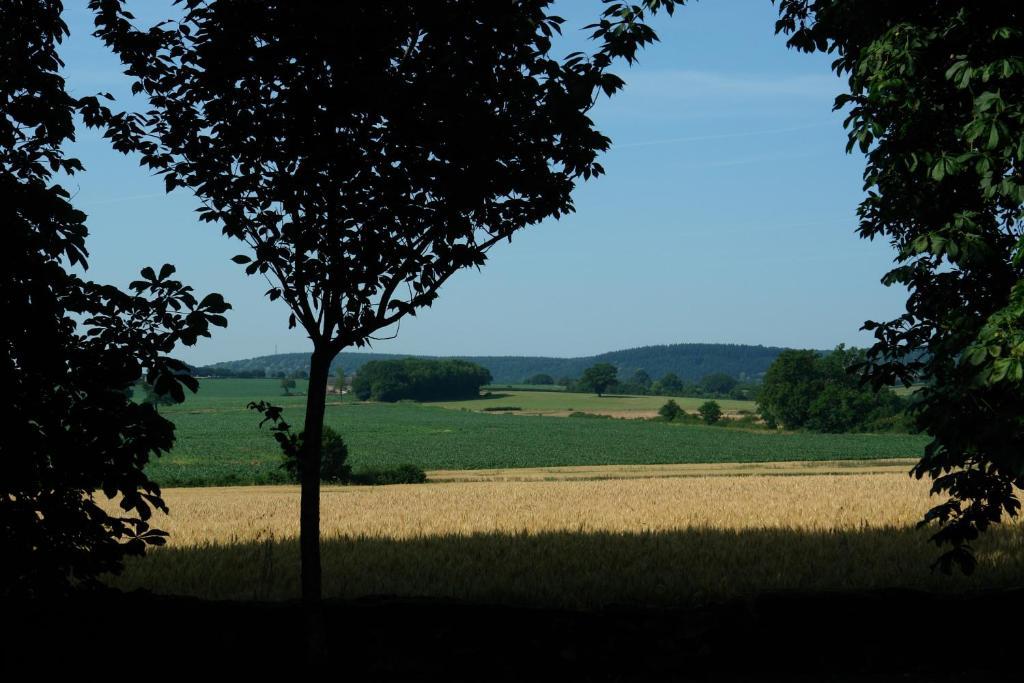 Chambres D'Hotes - Domaine Des Perrieres Crux-la-Ville Екстериор снимка